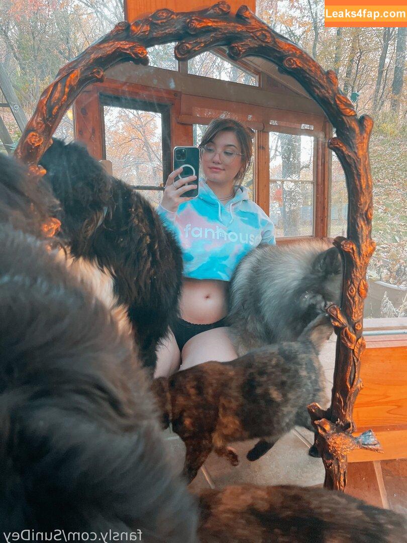 Sunidey слитое фото фото #0050