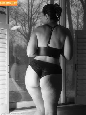 Sunidey photo #0026