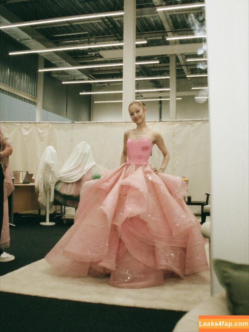 Ariana Grande / ariana.grande / arianagrande leaked photo photo #0133
