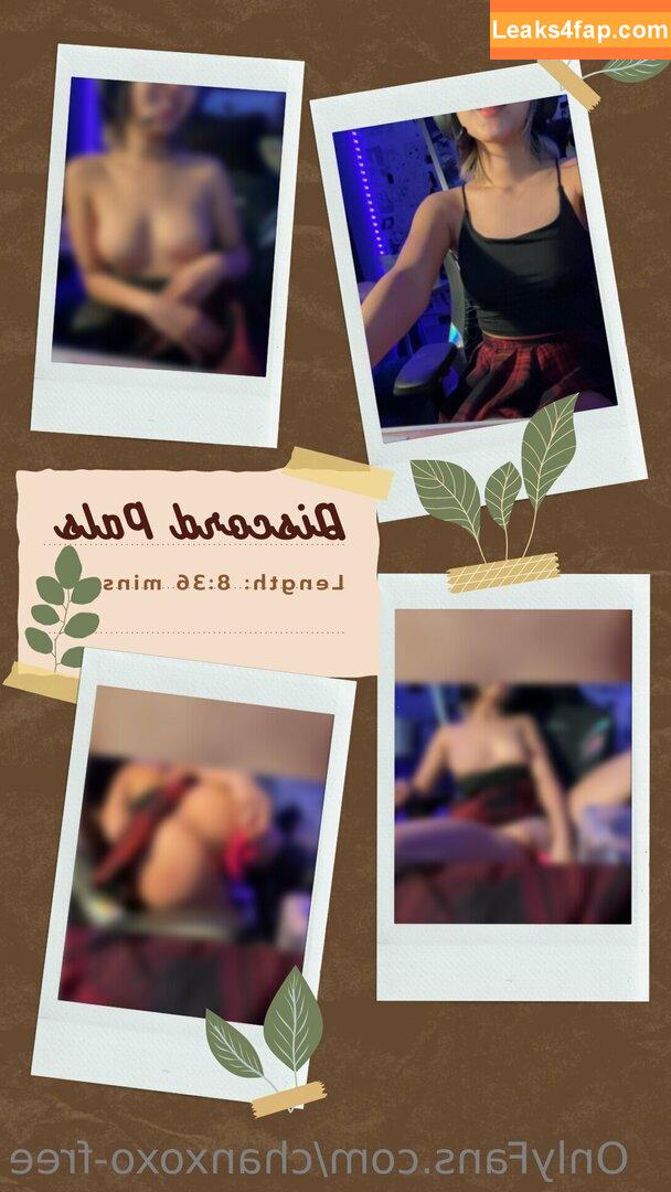 chanxoxo-free / chanxoxo leaked photo photo #0008