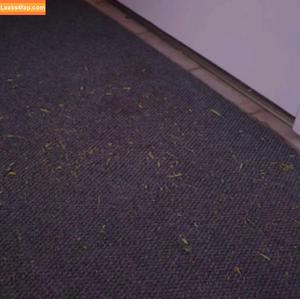 Chloe Rose фото #0017