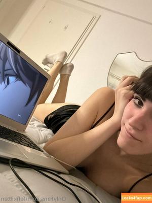Fefikitten photo #0012