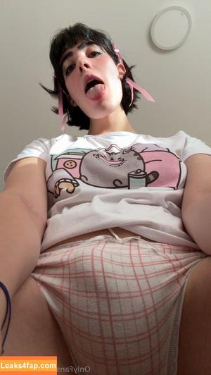 Fefikitten photo #0057