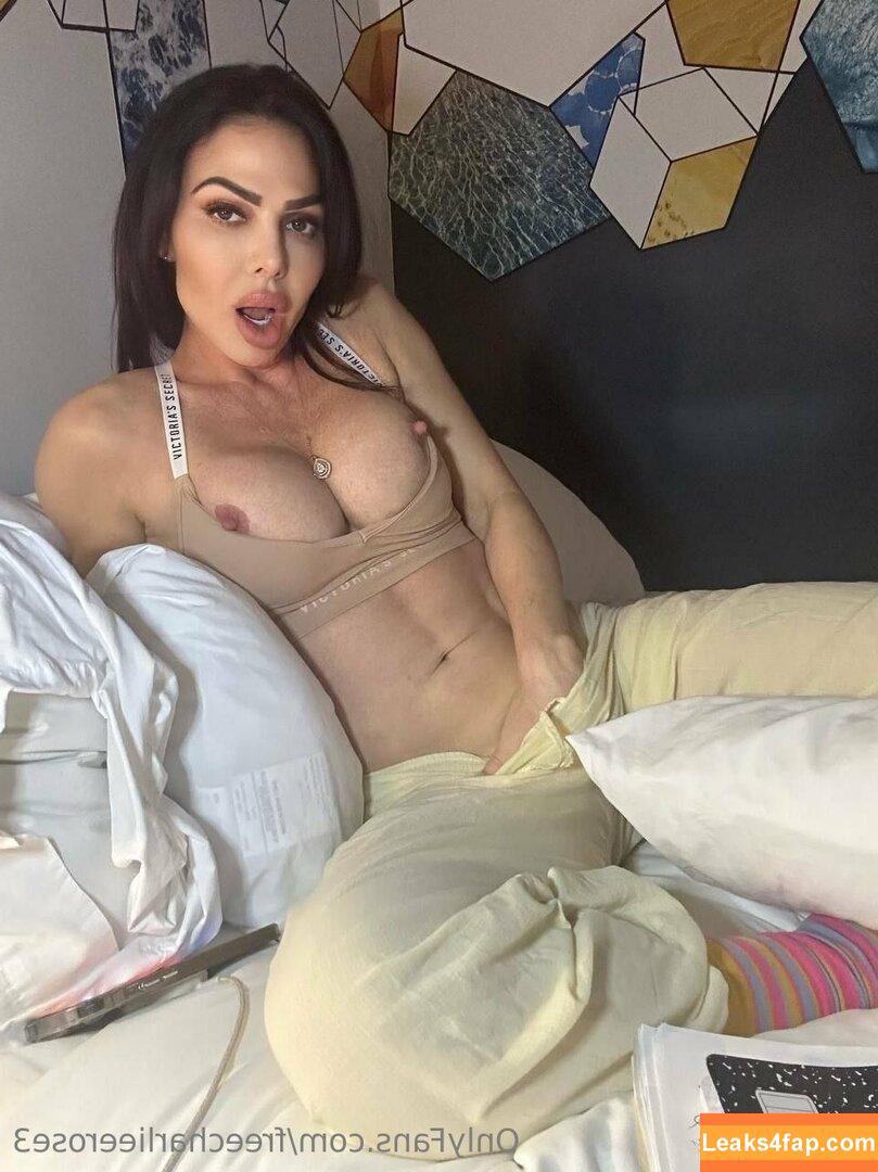 freecharlieerose3 / charlieerose3 leaked photo photo #0006
