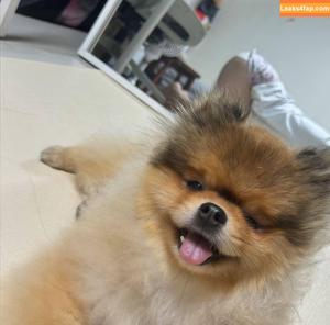 Heeheemoon photo #0085