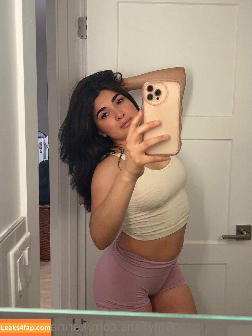 karinamasfina / karinamasfinaa leaked photo photo #0005