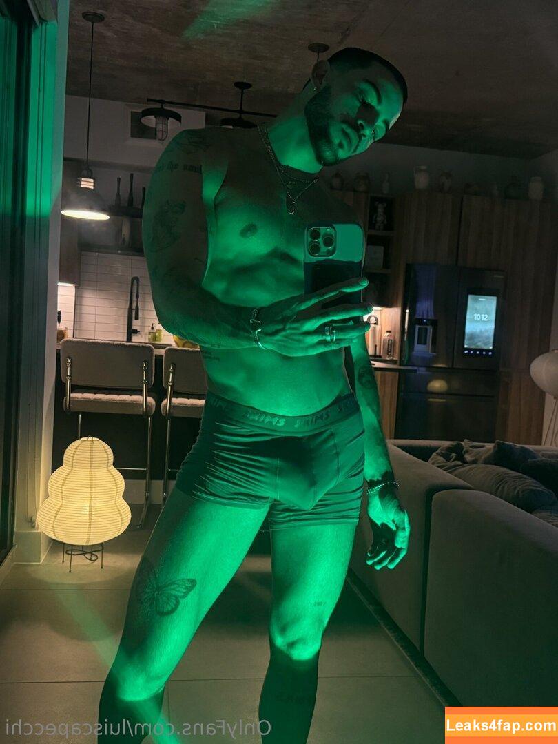 luiscapecchi /  leaked photo photo #0011