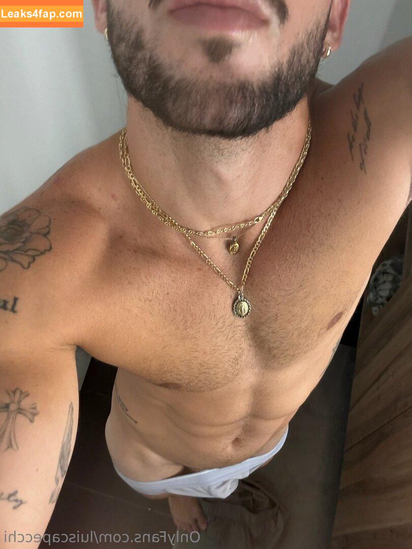 luiscapecchi /  leaked photo photo #0012