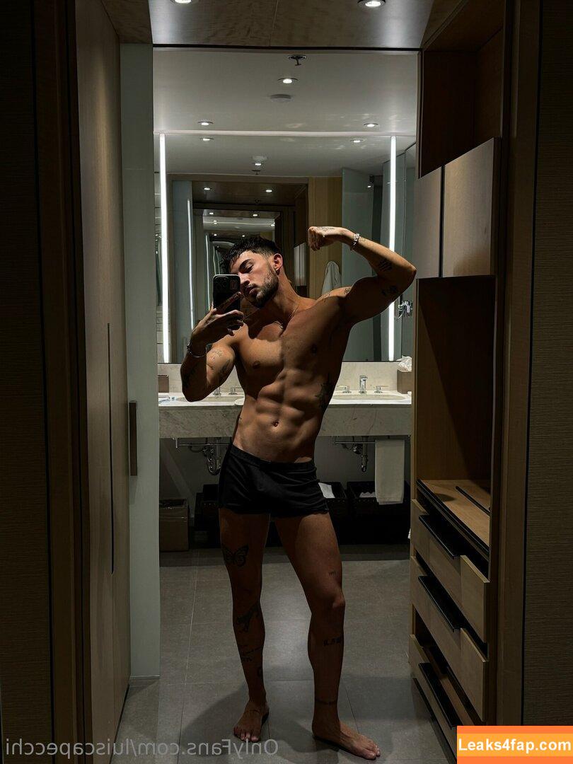 luiscapecchi /  leaked photo photo #0019