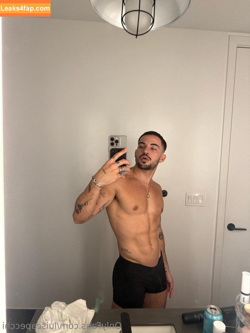 luiscapecchi /  leaked photo photo #0025