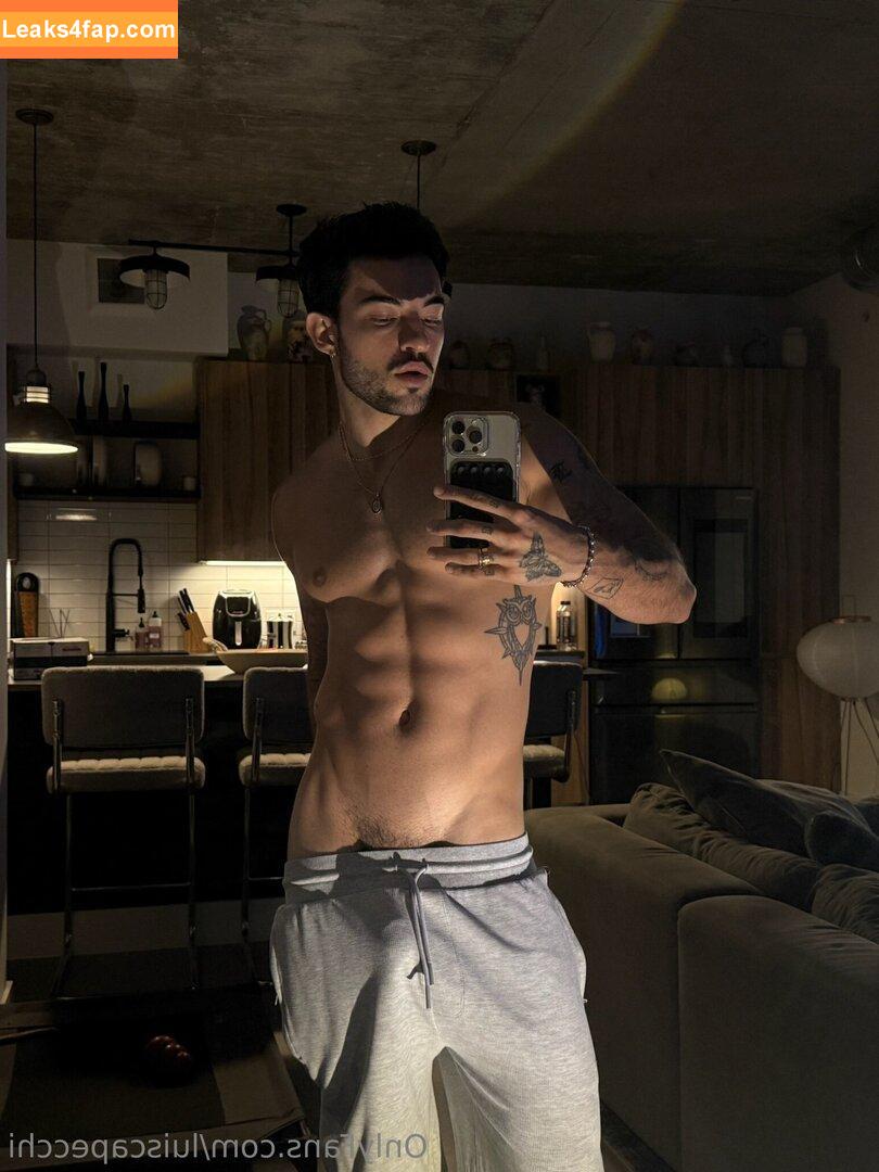 luiscapecchi /  leaked photo photo #0027