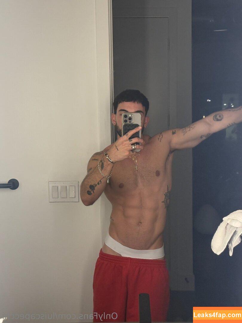 luiscapecchi /  leaked photo photo #0030