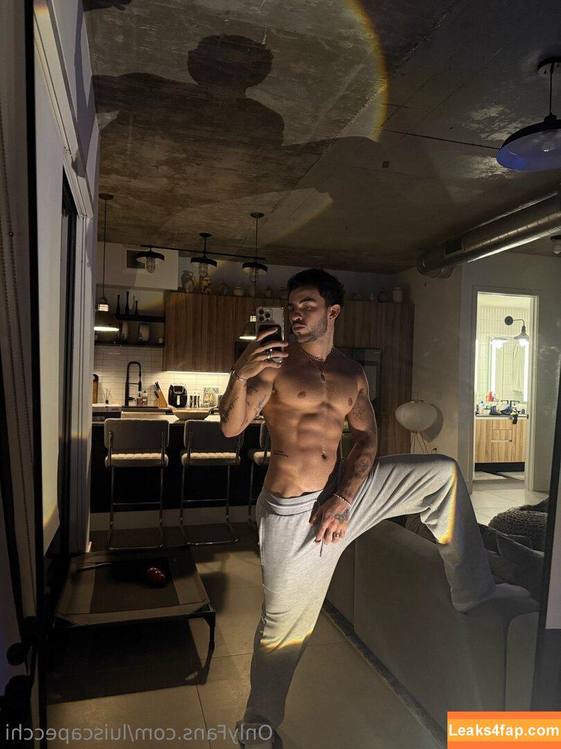 luiscapecchi /  leaked photo photo #0031