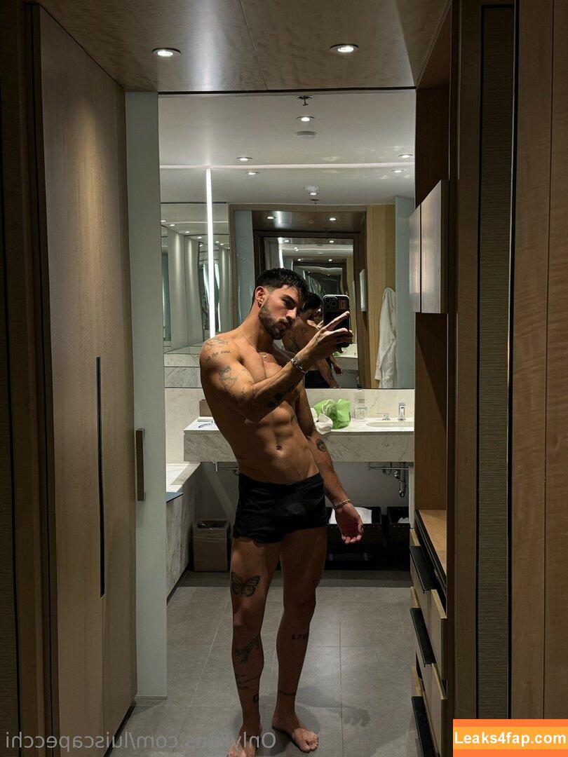 luiscapecchi /  leaked photo photo #0036
