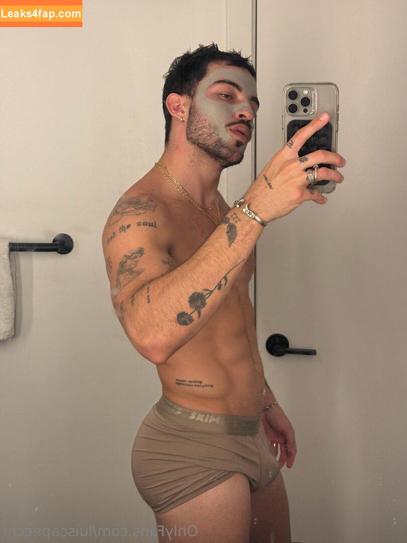 luiscapecchi /  leaked photo photo #0038