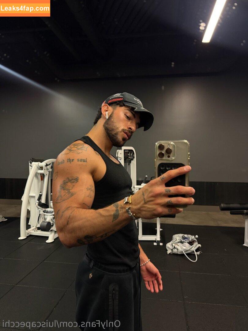 luiscapecchi /  leaked photo photo #0047