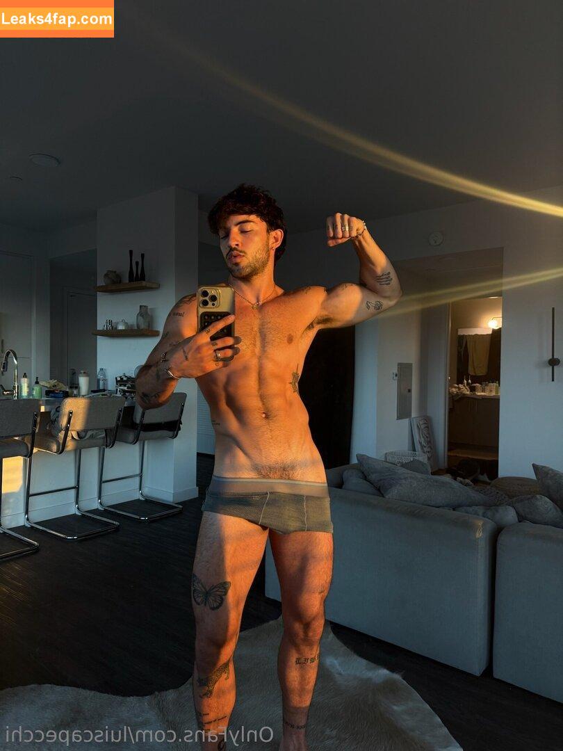 luiscapecchi /  leaked photo photo #0054