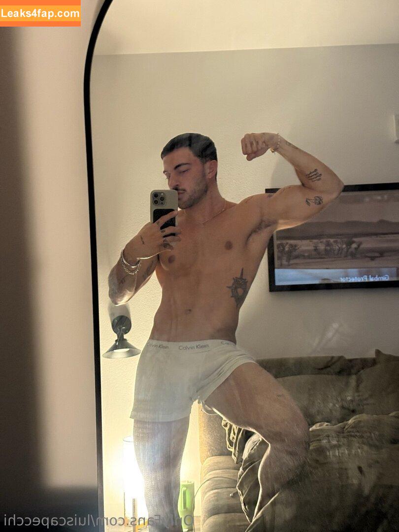 luiscapecchi /  leaked photo photo #0058