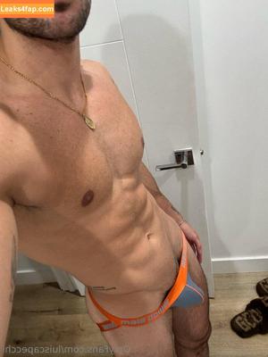 luiscapecchi photo #0022