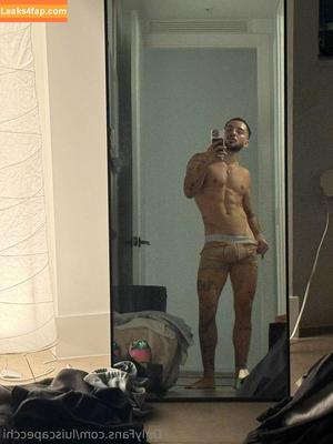 luiscapecchi photo #0024