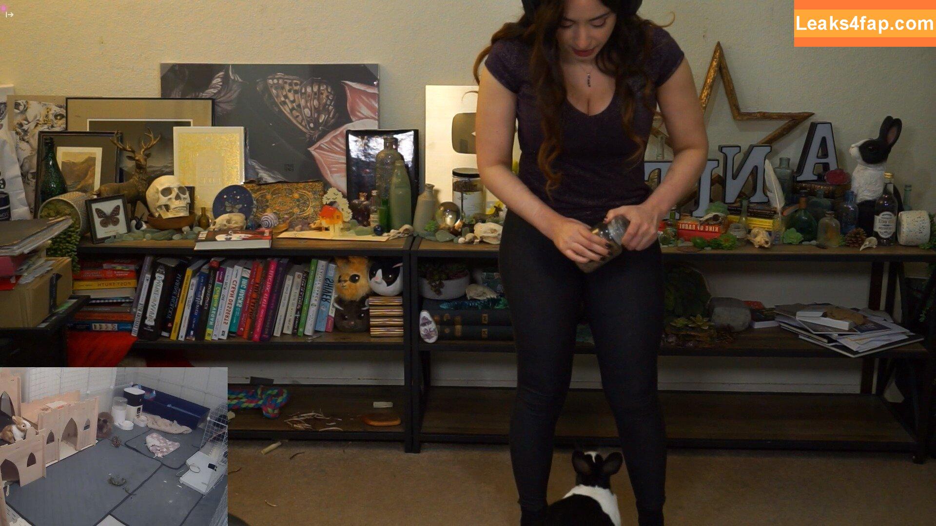 Sweet Anita / Sweet_Anita / sweetanita / sweetanitatwitch / sweetanitaxxx leaked photo photo #0338