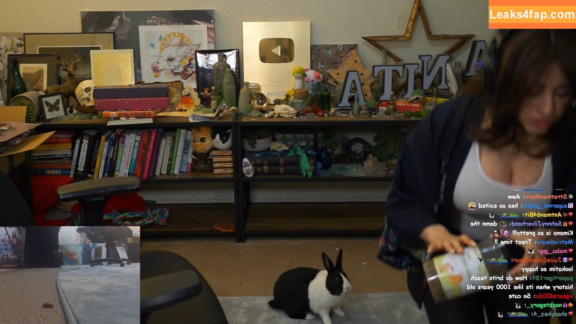 Sweet Anita / Sweet_Anita / sweetanita / sweetanitatwitch / sweetanitaxxx leaked photo photo #0390