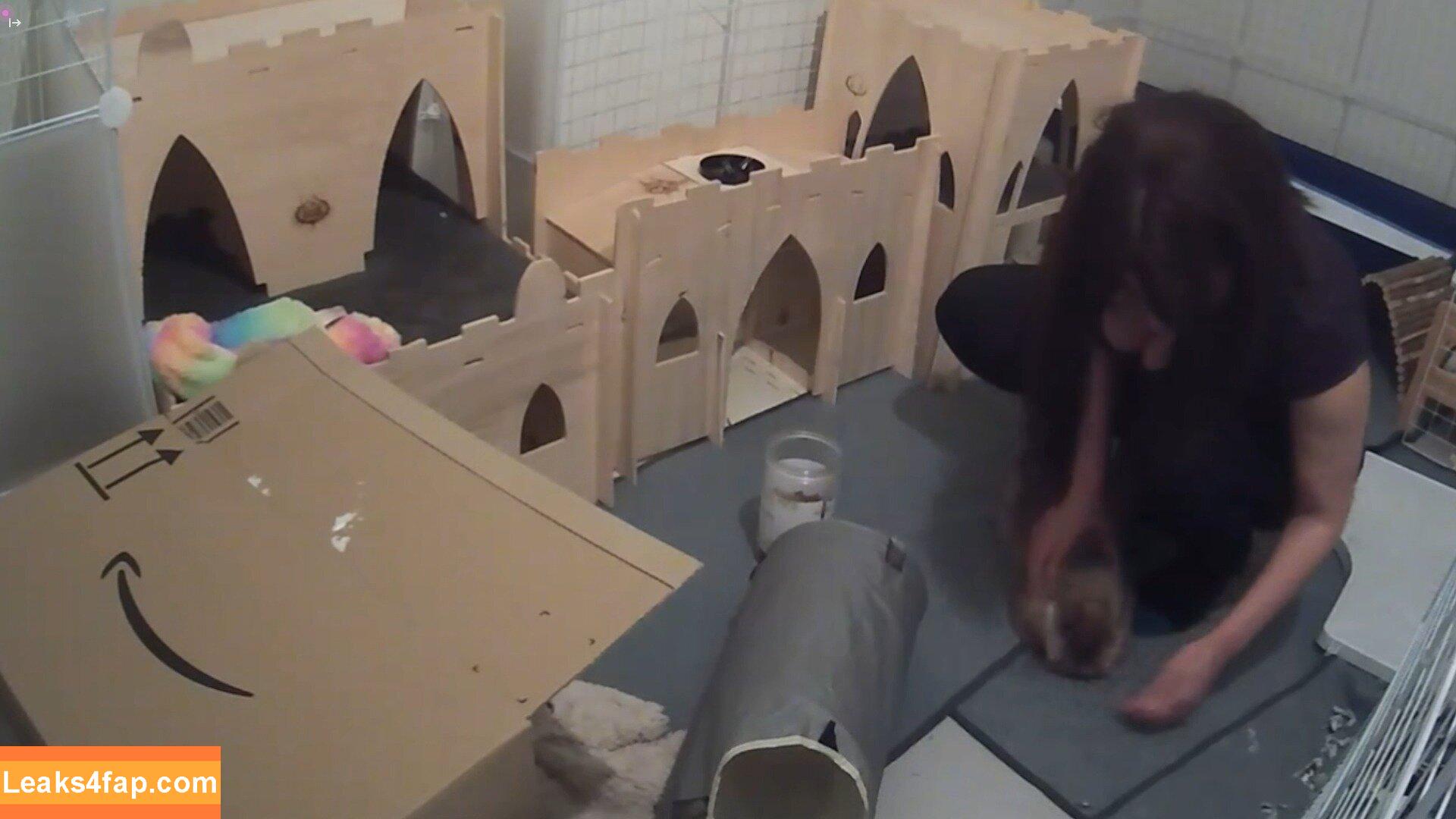 Sweet Anita / Sweet_Anita / sweetanita / sweetanitatwitch / sweetanitaxxx leaked photo photo #0481