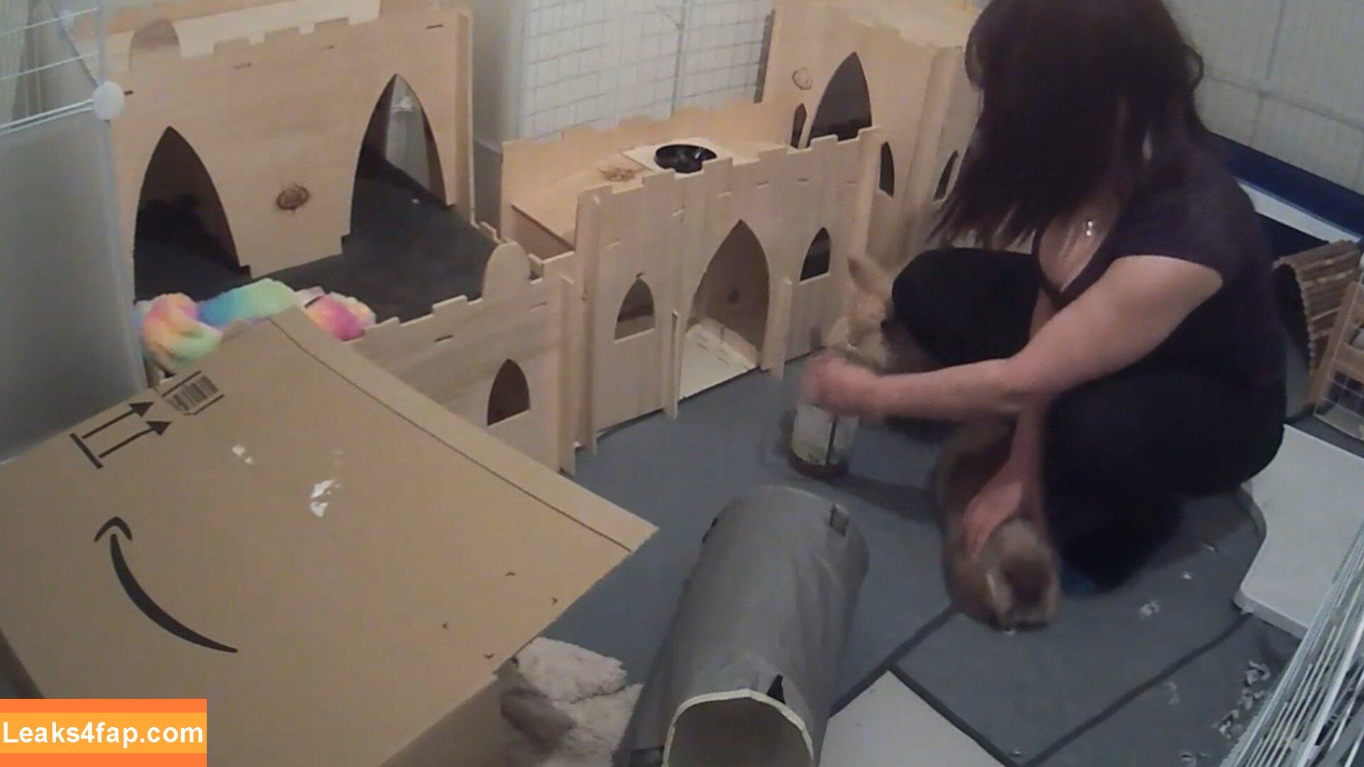 Sweet Anita / Sweet_Anita / sweetanita / sweetanitatwitch / sweetanitaxxx leaked photo photo #0482