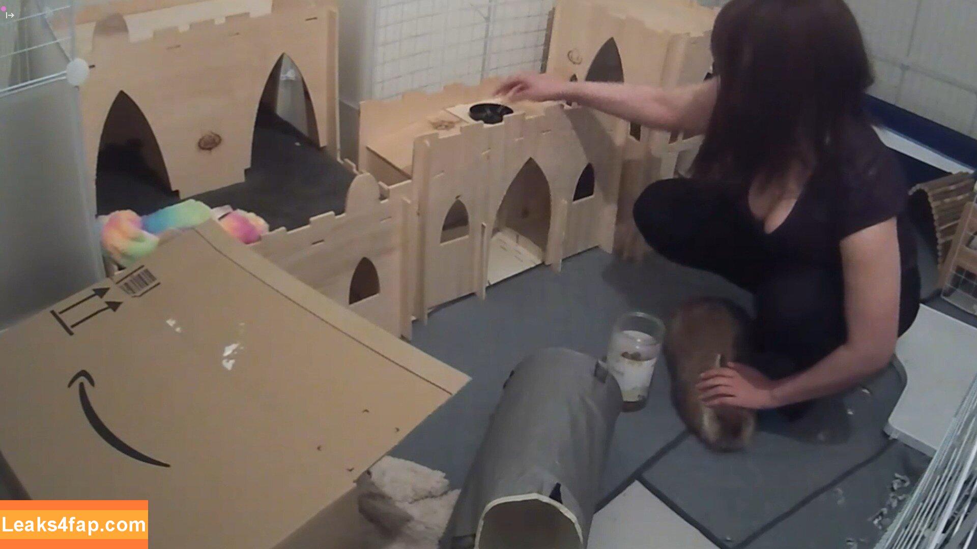 Sweet Anita / Sweet_Anita / sweetanita / sweetanitatwitch / sweetanitaxxx leaked photo photo #0487