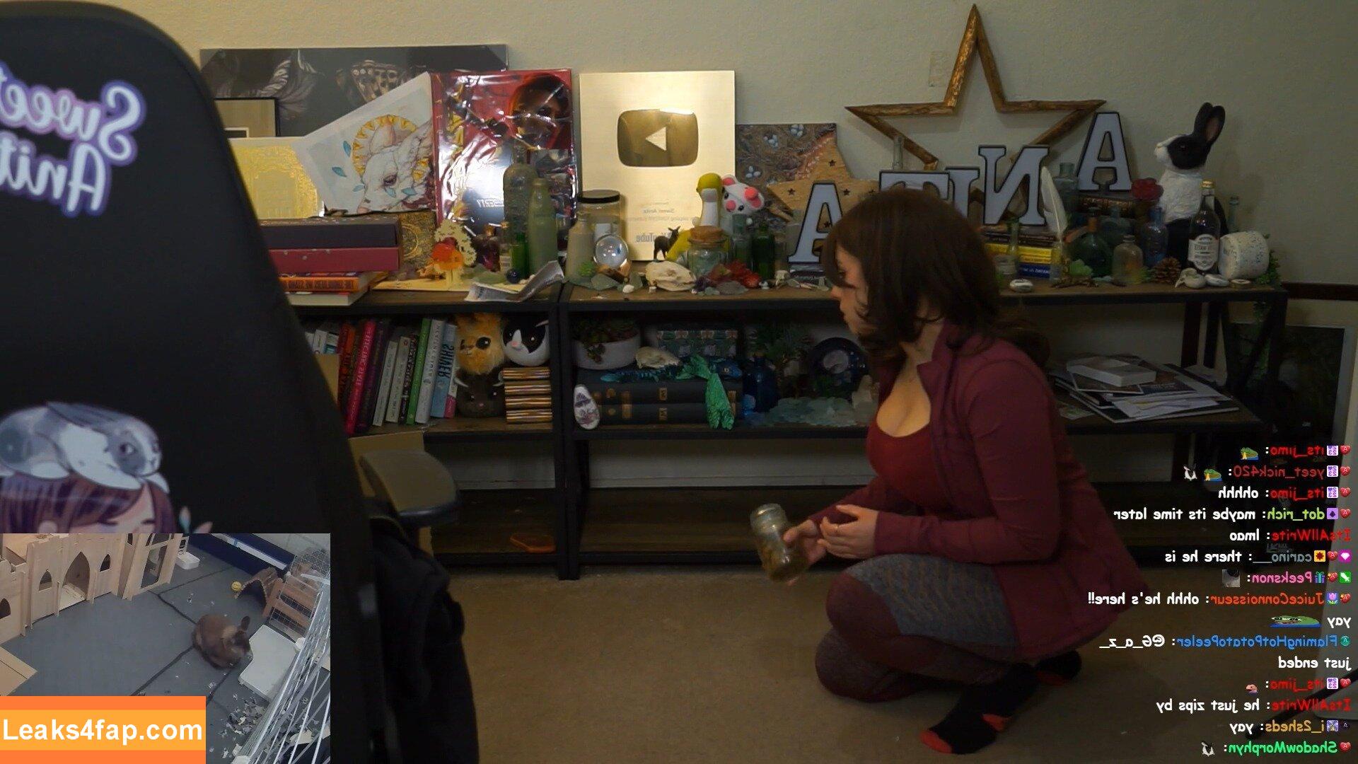 Sweet Anita / Sweet_Anita / sweetanita / sweetanitatwitch / sweetanitaxxx leaked photo photo #0513