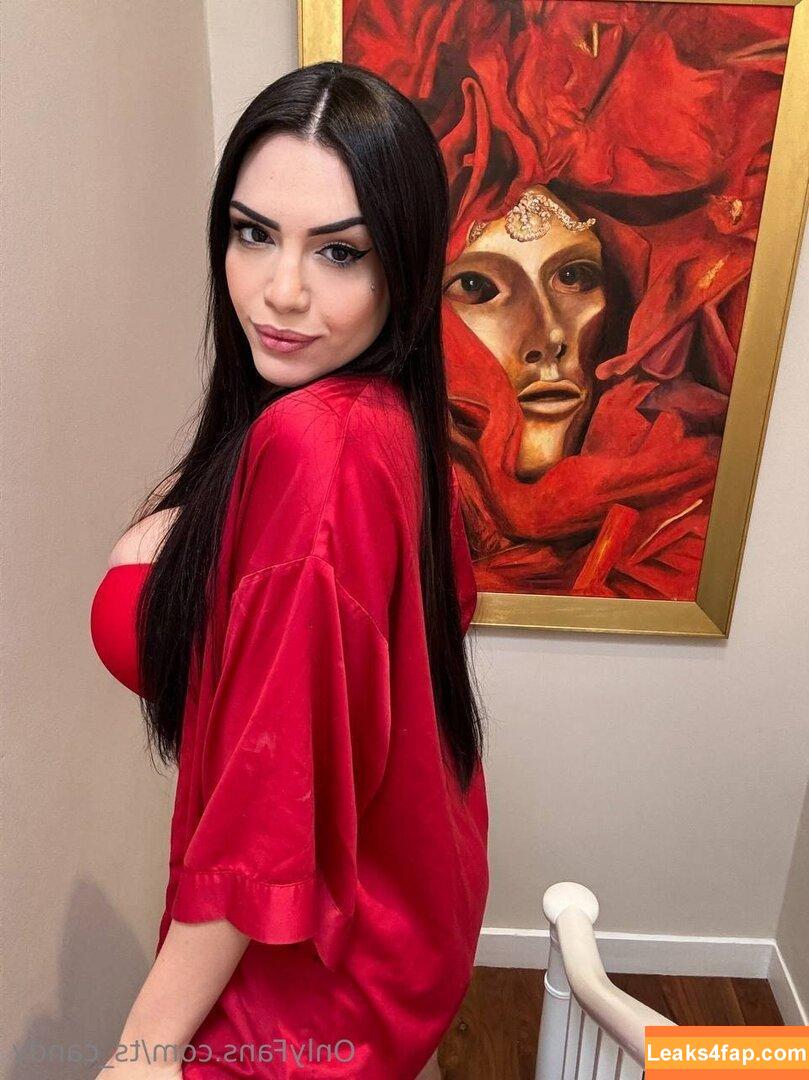 ts_candy /  leaked photo photo #0022