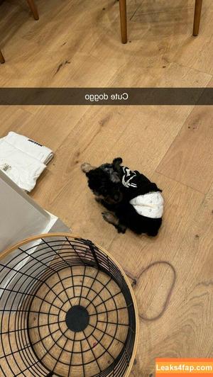 Vera Dijkmans photo #0824