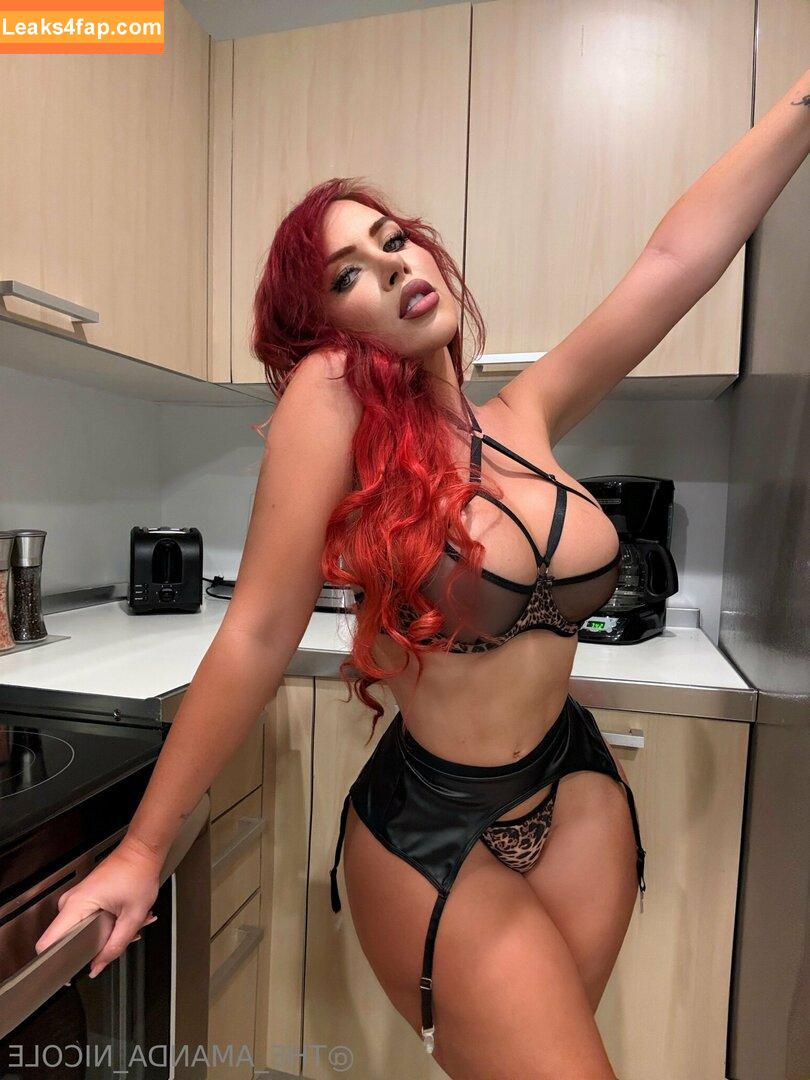 Amanda Nicole / the_amanda_nicole / theamandanicole leaked photo photo #0101