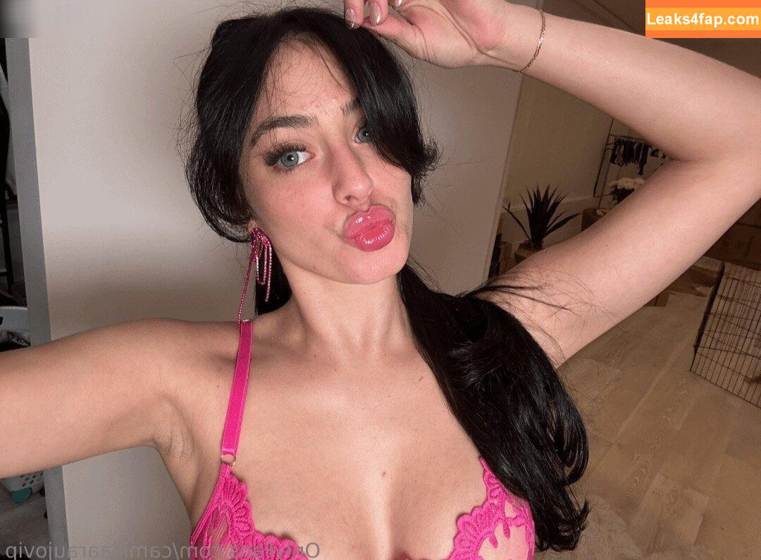 Camilla Araujo / realcamillaara / thefanvan leaked photo photo #0003