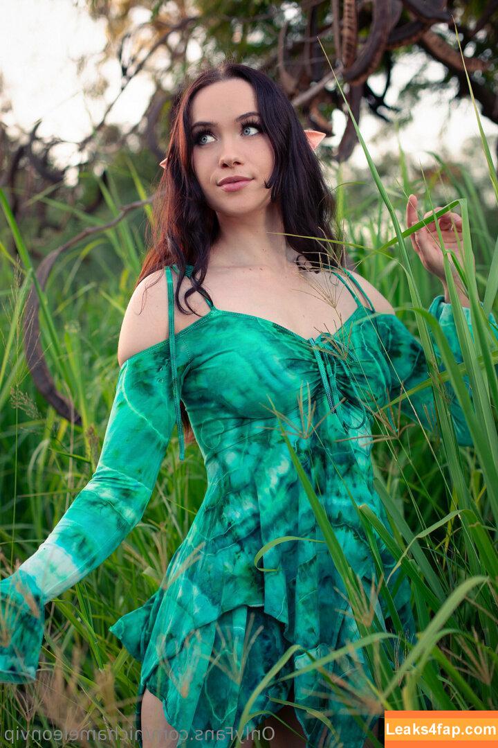 Nichameleon / nic_the_pixie leaked photo photo #0149