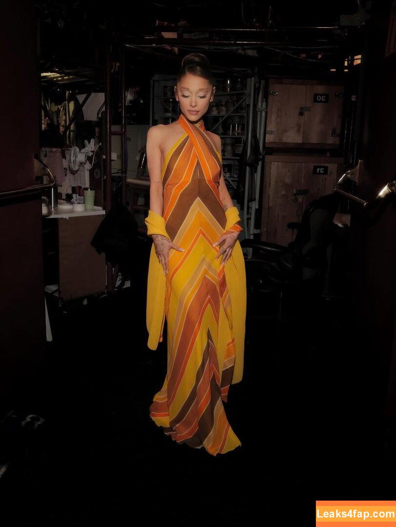 Ariana Grande / arianagrande слитое фото фото #0013