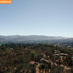 Brandi Love photo #0030