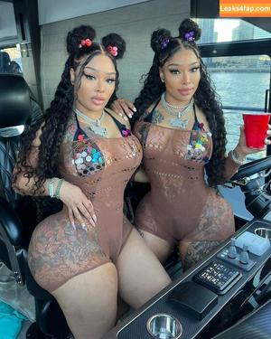 Double Dose Twins photo #0015