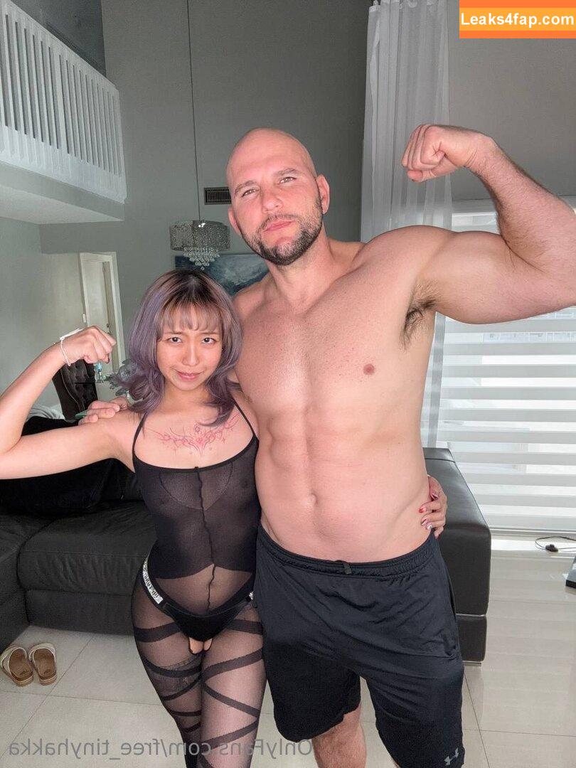 free_tinyhakka / little_monster133 leaked photo photo #0075