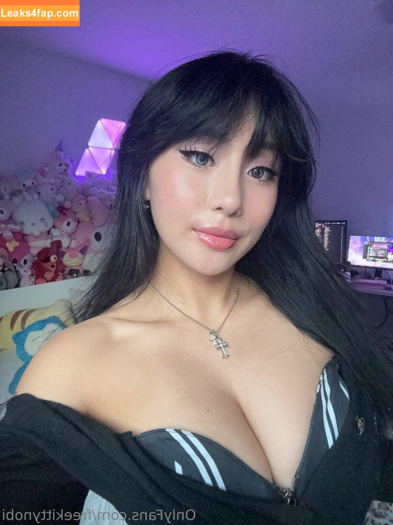 freekittynobi /  leaked photo photo #0001