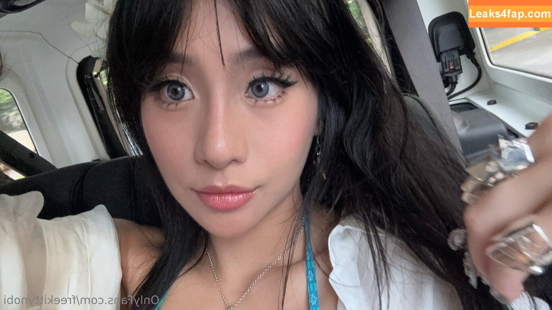 freekittynobi /  leaked photo photo #0003