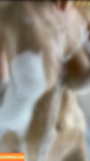 gingery.shoot photo #0022