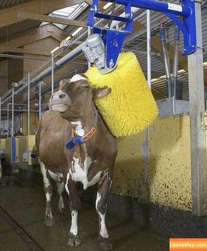 Katie Price фото #0259