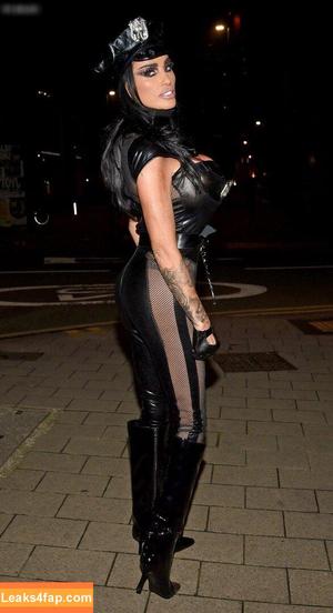 Katie Price photo #0347