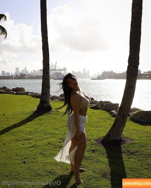 melgfit photo #0038