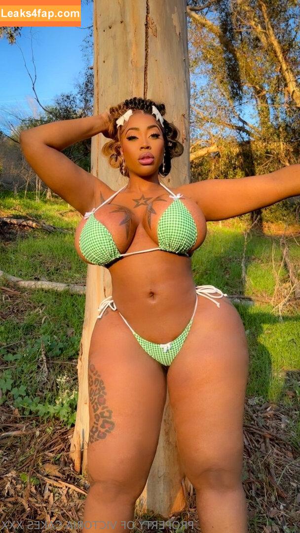 victoriacakes / victoriacakesconnect leaked photo photo #0001