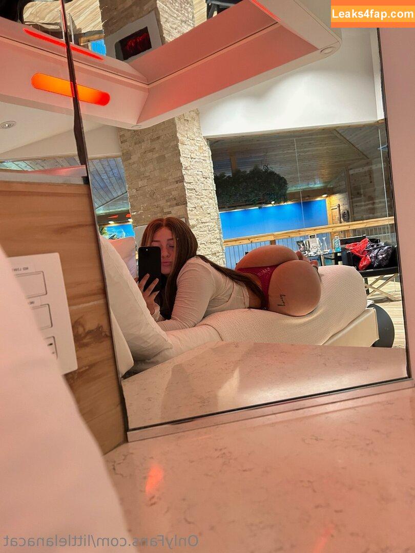 littlelanacat / notlanacat leaked photo photo #0007