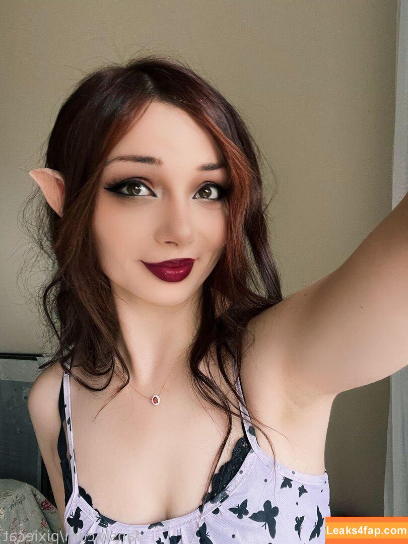 Pixiecat / pixiecatofficial / pixiiecat leaked photo photo #0271