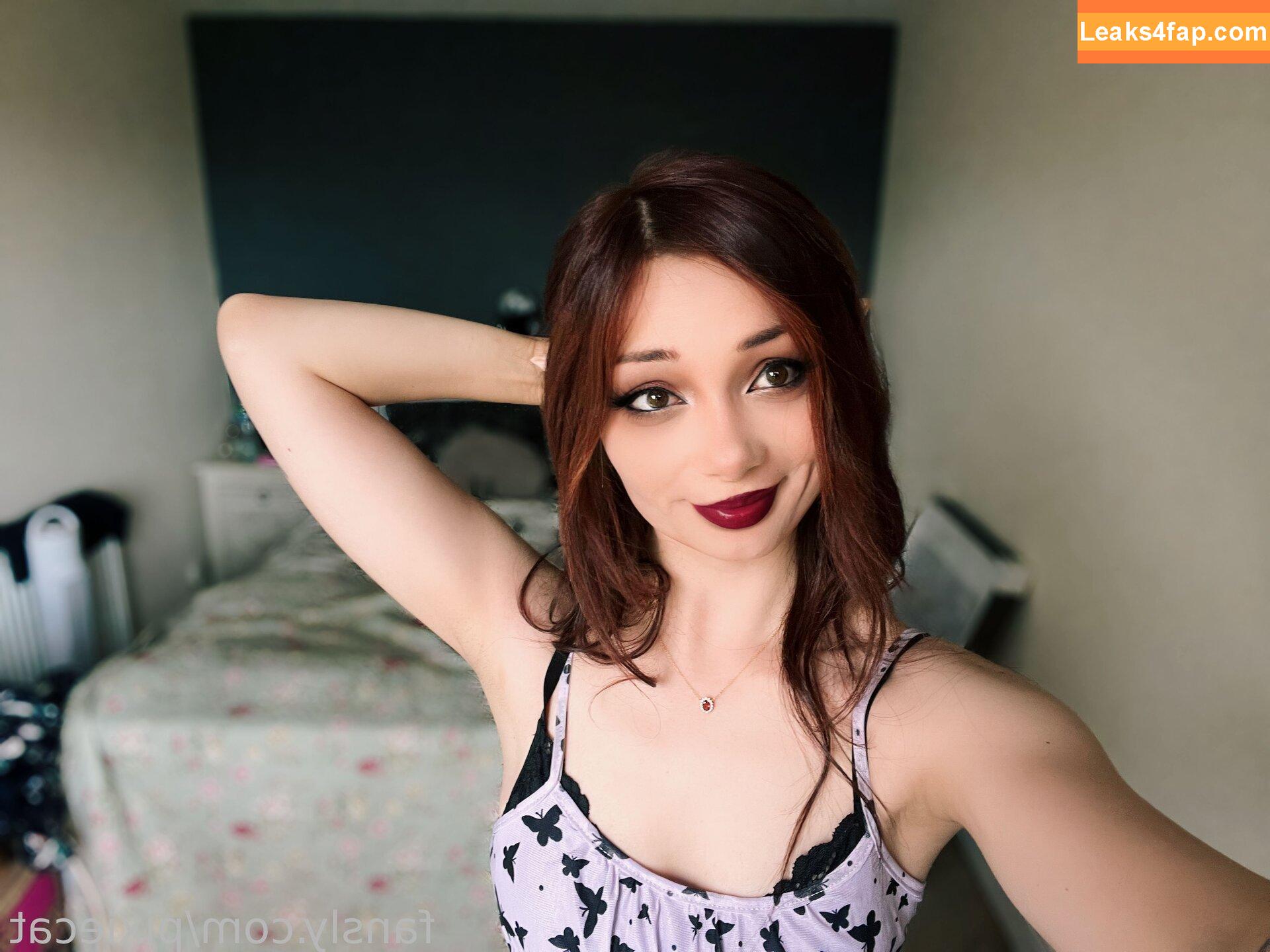 Pixiecat / pixiecatofficial / pixiiecat leaked photo photo #0280