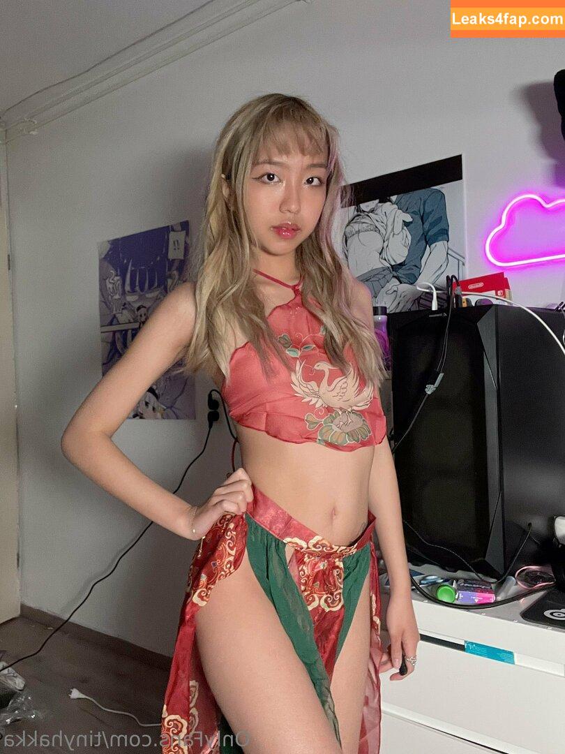tinyhakka / hakkame_soup leaked photo photo #0011